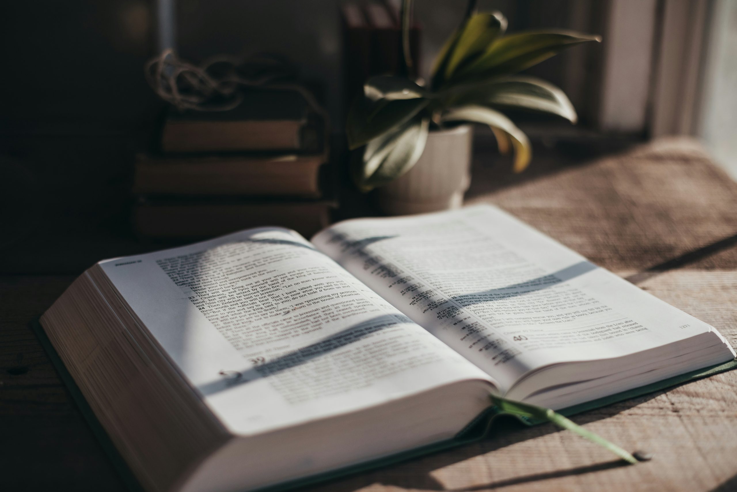 sixteen-miles-out-D40GDCD_-hE-unsplash